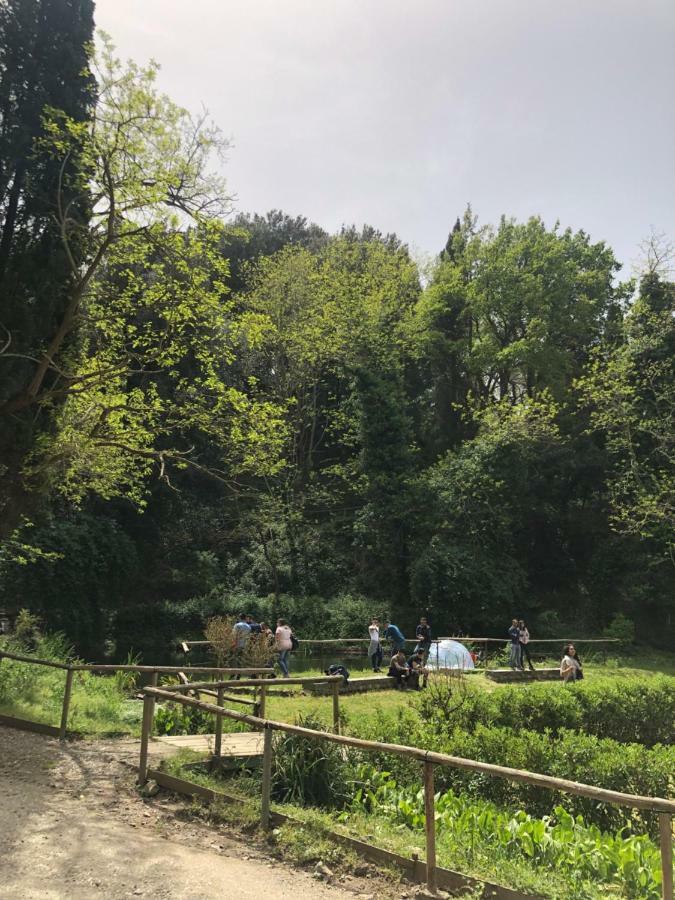 穆索利诺别墅 墨西拿 外观 照片